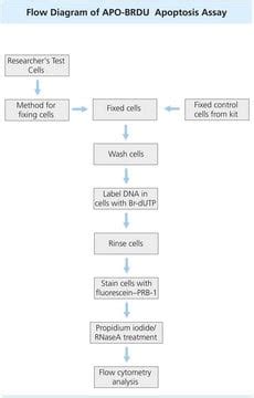 apoptosis elisa kit roche diagnostics|sufficient for 96 multiwell tests (11774425001), sufficient for 10 x .